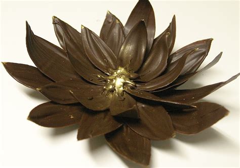 Magical Chocolate Lotus Flowers Nirvana Infused