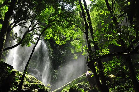 Kawasan seluas 117,500 hektar telah diwartakan sebagai taman negeri royal belum. waknal.blogspot.com : Hutan Royal Belum with Kuku Besi