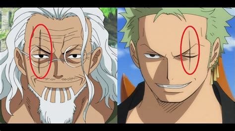 5 Similarities Between Zoro And Rayleigh In One Piece