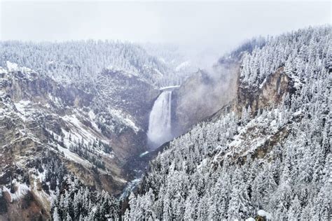Yellowstone In Winter Reasons To Visit Things To Do And Tips