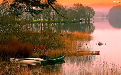 Boats Forest Scrub Pond Car Ships Wallpapers 1920x1200