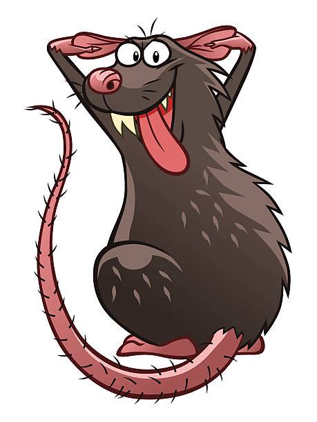 Royalty Free Rat Clip Art Vector Images And Illustrations Istock