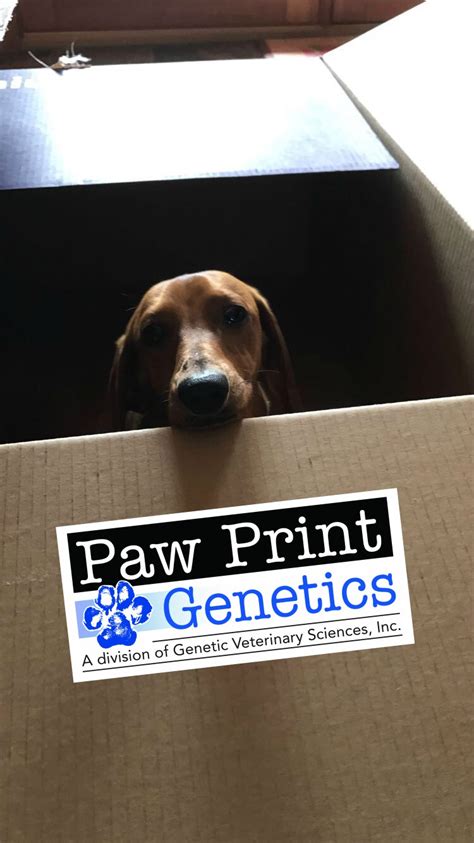 Paw Print Genetics Paw Print Genetics Has Moved