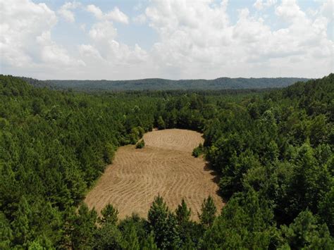 Hunting Land For Sale Cullman County Alabama Alabama Land For Sale