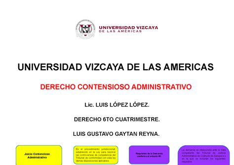 Diagrama Del Proceso Contencioso Administrativo Universidad Vizcaya