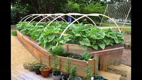 Garden Ideas Growing Vegetables In Raised Beds Youtube