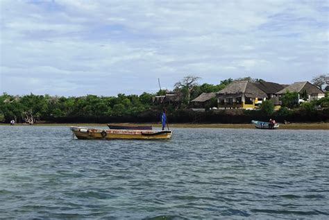 The Giant Coconut Crabs Of Wasini Island Kwale Focus