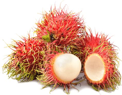 Download Hd Thumb Image Exotic Fruit Rambutan Transparent Png Image