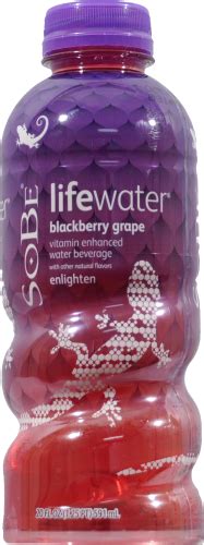 Sobe Lifewater Blueberry Grape Vitamin Enhanced Water 20 Fl Oz Kroger