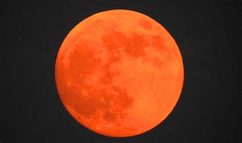 Hunters Moon 2016 Where When And How To Watch The Full Blood Moon