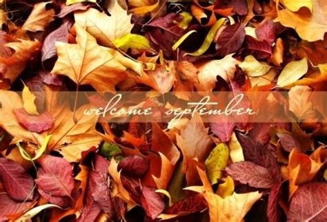 Welcome September Pictures Photos And Images Autumn
