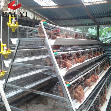 It has been made it is developed for the public works department, kerala. Wholesale Chicken Layer Battery Cage In Kerala and India ...