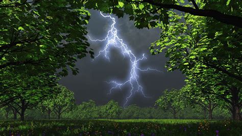 Lightning Storm In The Forest Wallpaper Beautiful Nature Nature