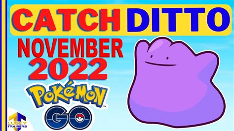 How To Catch Ditto In Pokémon Go November 2022 Youtube