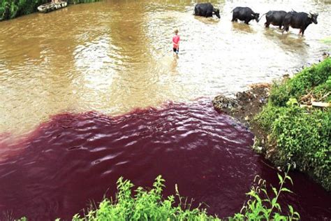 Pemerintah Tindak Tegas Perusahaan Pencemar Sungai Citarum Satu Harapan