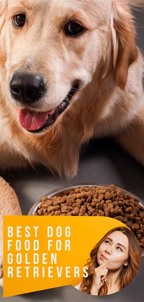 All of the major ingredients in this food are whole proteins and tasty vegetables. Best Dog Food For Golden Retrievers With Active Lifestyles