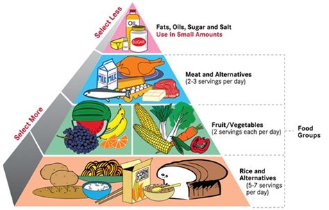 Balanced Diet Food Pyramid For Balanced Diet
