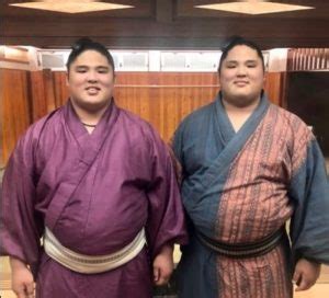 Manage your video collection and share your thoughts. スダリオ剛はハーフで結婚していて双子？嫁や名前の由来は ...