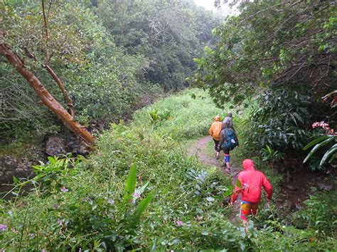 Best Hiking Trails Near Honolulu Hawaii Hawaii Partners 3d Wealth