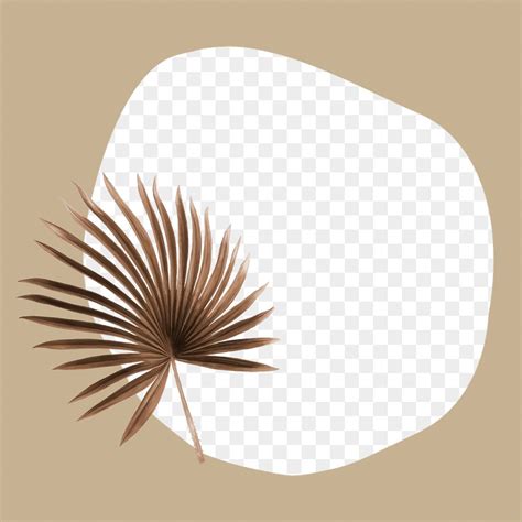 Aesthetic Png Frame Background Brown Premium Png Rawpixel