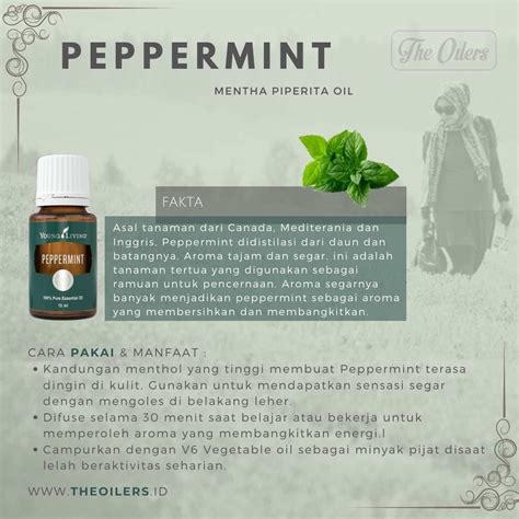 It can help with irregular periods. Peppermint Essential Oil di 2020 | Young living, Minyak ...