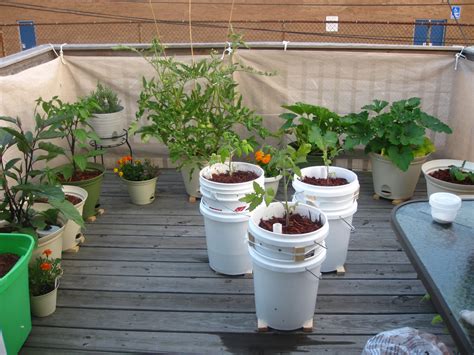 The list goes on, but showing is better than telling. Charm city balcony garden: Final setup completed!