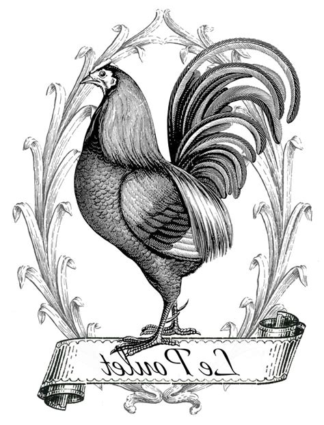 We did not find results for: Printable Image Transfer - French Chicken - The Graphics Fairy