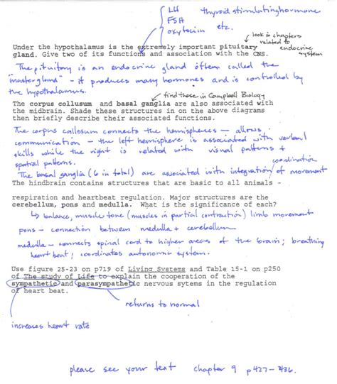 Transcription — making a complementary mrna molecule from the dna. Transcription And Translation Practice Worksheet Answer ...
