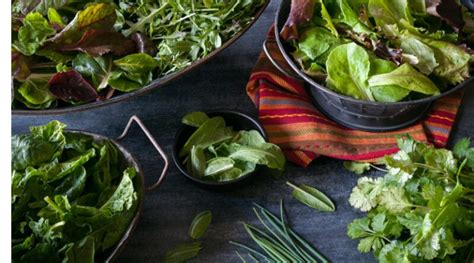 Each vitamin belonging to this family has its own. Vitamin B Rich Foods | Health Benefits of VitamiN B ...