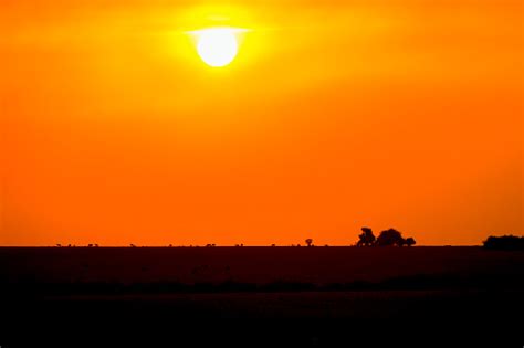 Beautiful Sunset At The African Savanna Stock Photo Download Image