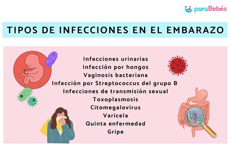 10 Tipos De Infecciones Más Comunes En El Embarazo