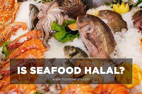 This article clarifies many doubts muslims the world over had on halal/haram classificaition. Is Seafood Halal? (Crab, Lobster, Shark, Octopus, Oyster ...