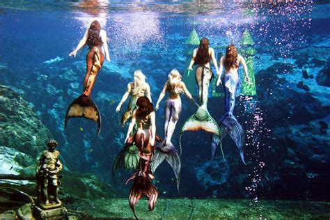 Weeki Wachee Mermaids Performers Make The Trek From Florida Park To The