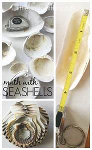 Math Activity With Measuring Seashells Beach Math