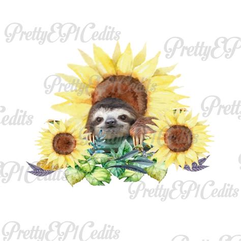 Sloth Botanical Sunflower Garden Brown Sloth Sloth Decals Etsy