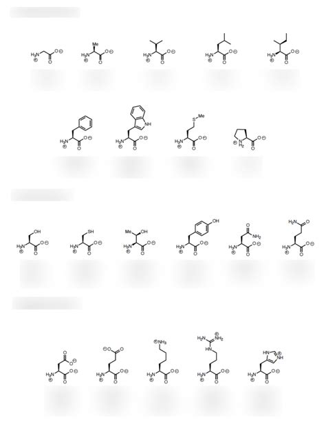 Amino Acids And Pka Diagram Quizlet