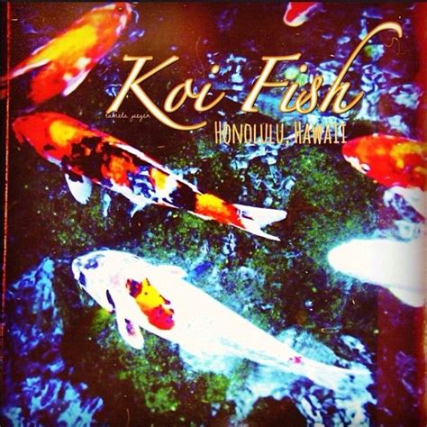 7 Koi Fish Quotes Ideas