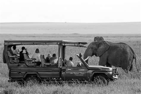 The Thrill Of Group Safari Tours In Tanzania A Comprehensive Guide