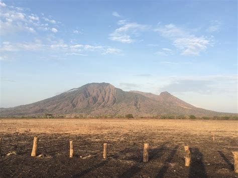 Baluran National Park Situbondo 2020 All You Need To Know Before