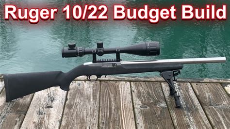 Ruger 1022 Budget Project Total Cost And Final Thoughts Youtube