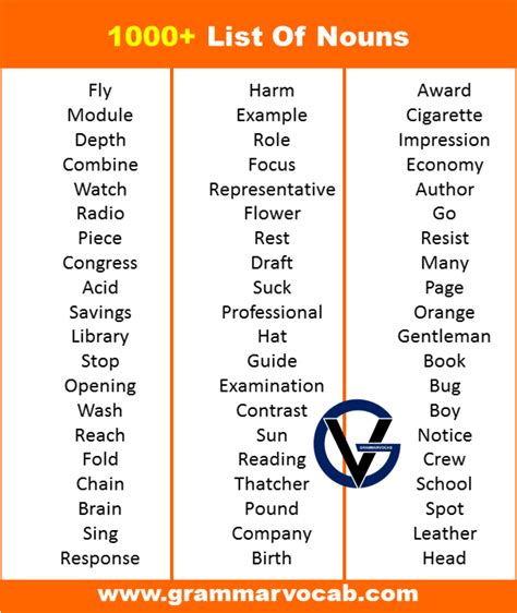 1000 List Of Nouns Pdf Definition And Infographics Grammarvocab