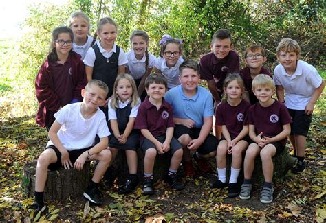 Bressingham Primary School is set to expand its forest school area