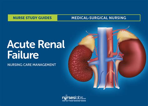 Acute Renal Failure Nursing Care And Management Study Guide