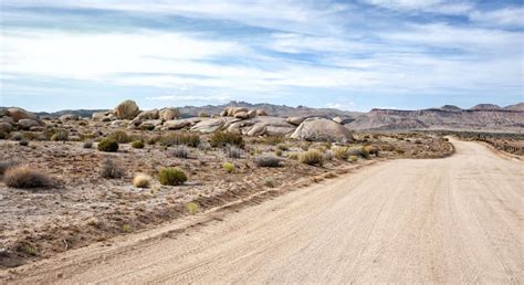 Mojave Desert Road In Sunset Stock Photo Image Of Joshua Cactus