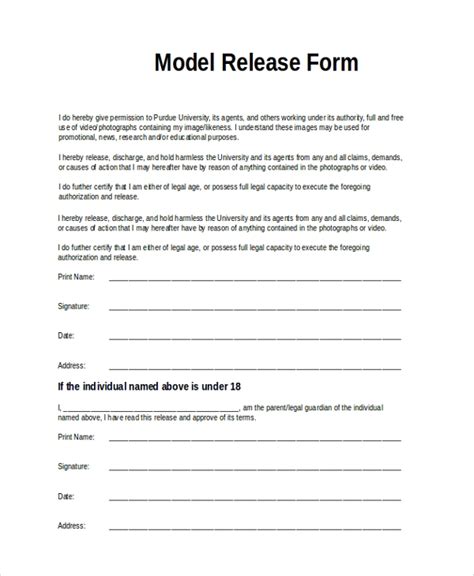 sample model release form  examples   word
