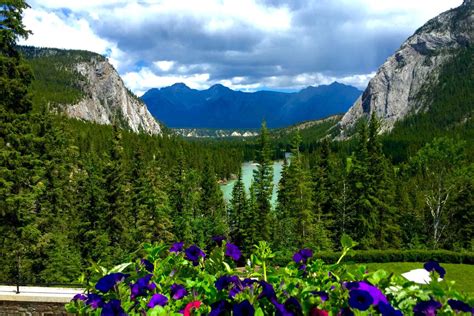 Gevonden Op Bing Via Banff National Park National