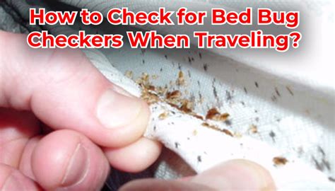 How To Check For Bed Bugs While Traveling