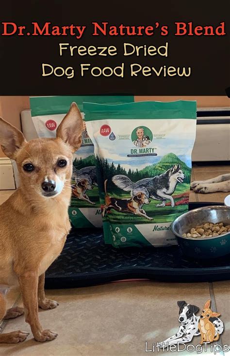Whether you are looking for a balanced low calorie dog food or delicious healthy dog rolls and treats, natural balance dog food is the ideal choice. dr martys freeze dried dog food - Little Dog Tips