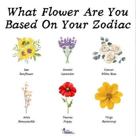 What Zodiac Flower Are You Based On Your Astrological Sign