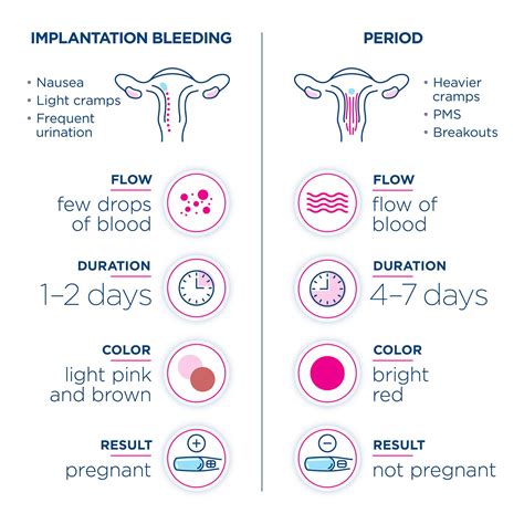 Implantation Bleeding An Early Pregnancy Symptom Pinkbundle